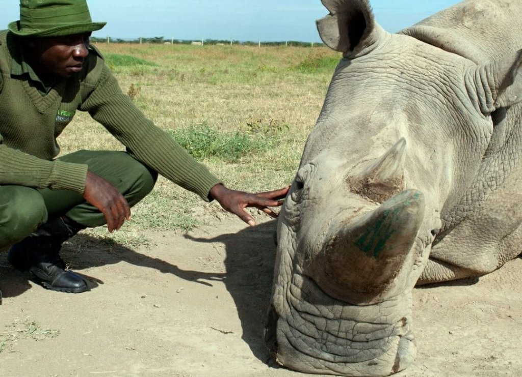 تغير البيئة